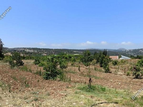 land for sale neo chorio paphos 1385958 image 15298852