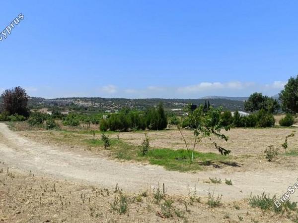 land for sale neo chorio paphos 1385958 image 15298854