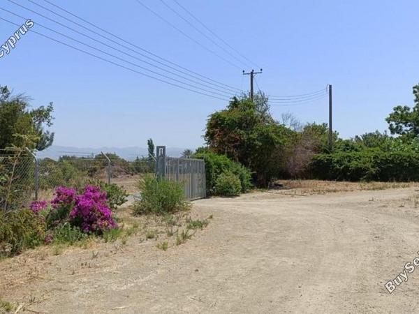 land for sale neo chorio paphos 1385958 image 15298858