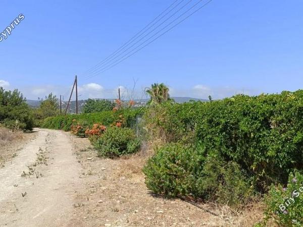 land for sale neo chorio paphos 1385958 image 15298860
