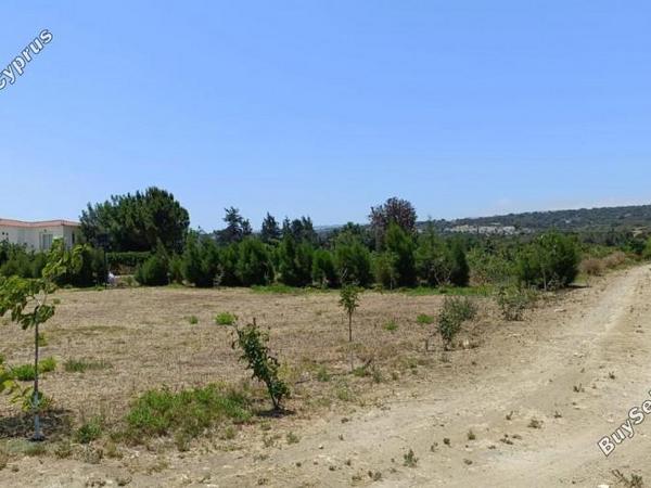land for sale neo chorio paphos 1385958 image 15298861