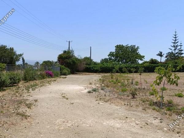 land for sale neo chorio paphos 1385958 image 15298863