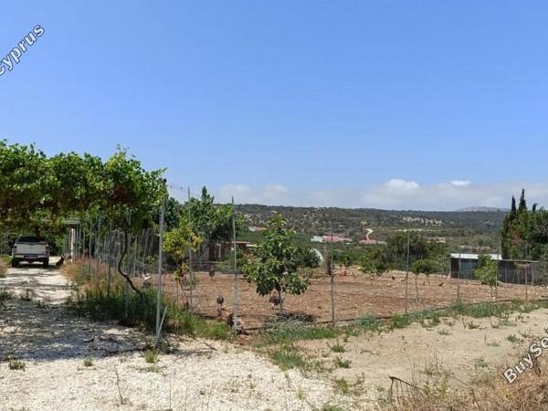 land for sale neo chorio paphos 1385958 image 15298873