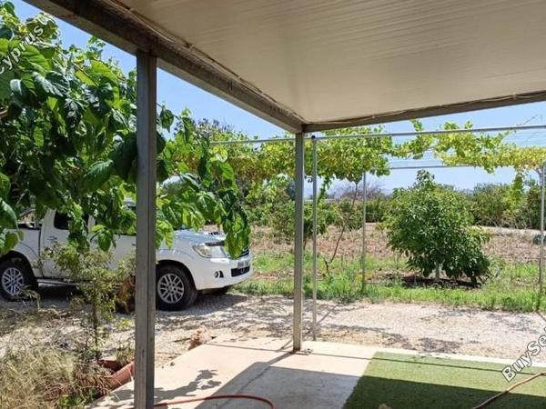 land for sale neo chorio paphos 1385958 image 15298883