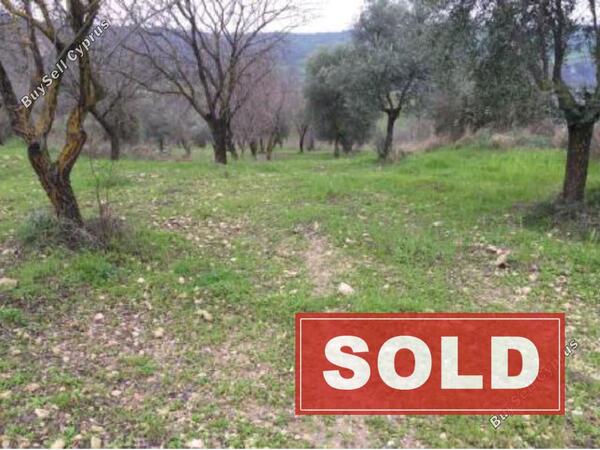 land sold fyti paphos 945958 image 848566