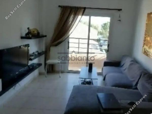 1 bedroom apartment for rent kato lakatamia nicosia 8749068 image 16471589