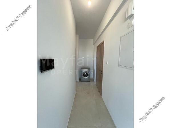 2 bedroom apartment for rent larnaca municipality larnaca 8571068 image 17237411