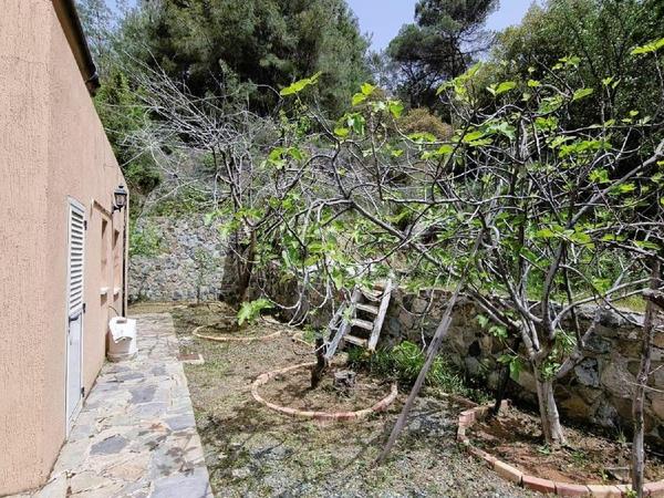 3 bedroom detached house for sale kato platres limassol 1498068 image 14356548