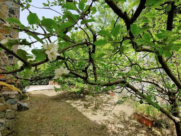 3 bedroom detached house for sale kato platres limassol 1498068 image 14356551