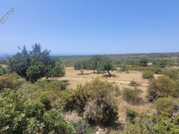 3 bedroom detached house for sale souni zanakia limassol 8382068 image 15276641