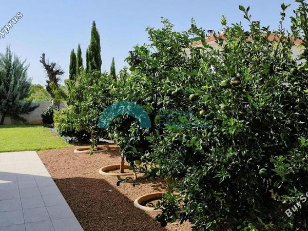5 bedroom detached house for sale dekeleia larnaca 1309068 image 7635827