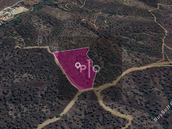 land for sale agios theodoros soleas nicosia 8275068 image 15157206
