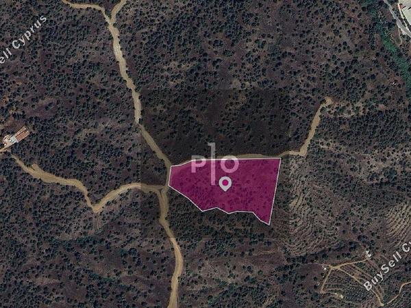 land for sale agios theodoros soleas nicosia 8275068 image 15157208