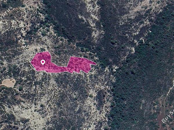 land for sale platanisteia limassol 1213068 image 14889285