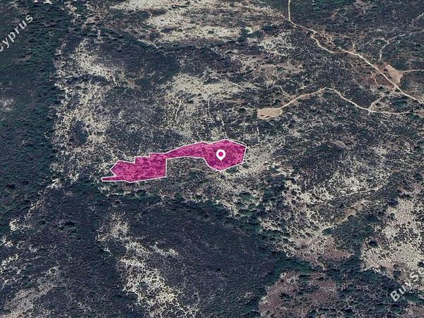 land for sale platanisteia limassol 1213068 image 14889289