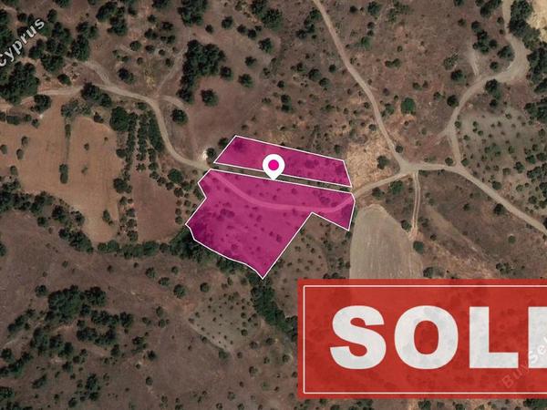 land sold mitsero nicosia 1057068 image 3681810
