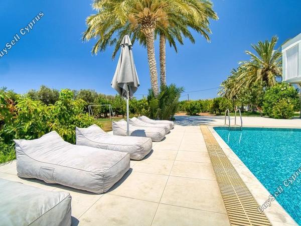 4 bedroom detached house for sale coral bay paphos 8382168 image 15554706