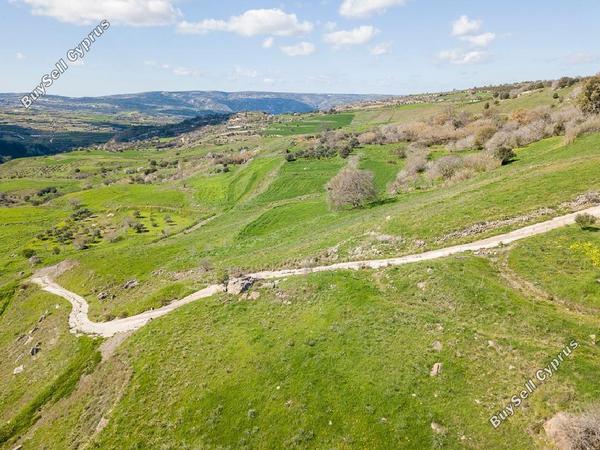 land for sale drynia paphos 8532168 image 16306321