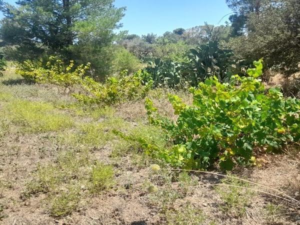 land for sale mathiatis nicosia 1092168 image 16249802