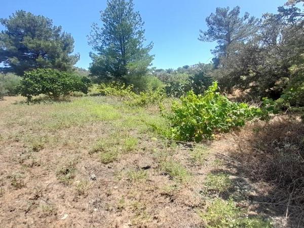 land for sale mathiatis nicosia 1092168 image 16249803