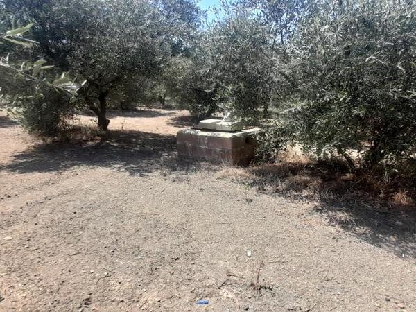 land for sale mathiatis nicosia 1092168 image 16249810