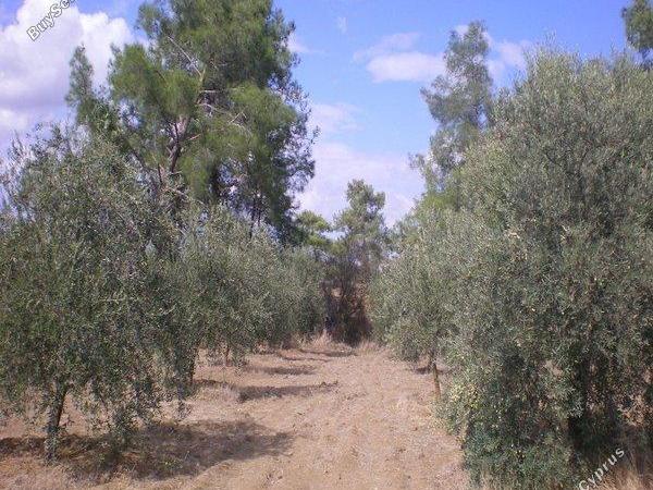 land for sale mathiatis nicosia 1092168 image 16249815