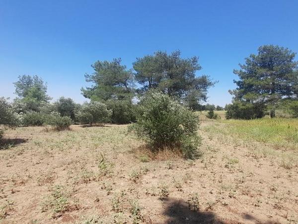 land for sale mathiatis nicosia 1092168 image 16249817