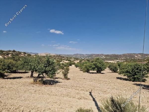 land for sale palodeia limassol 1901168 image 7268476
