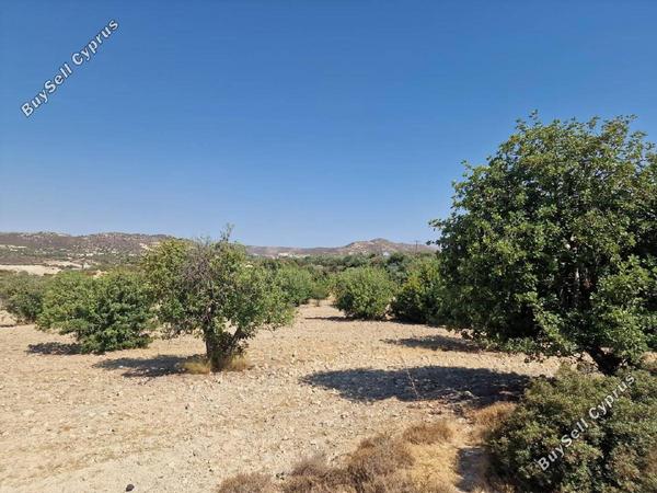 land for sale palodeia limassol 1901168 image 7268482