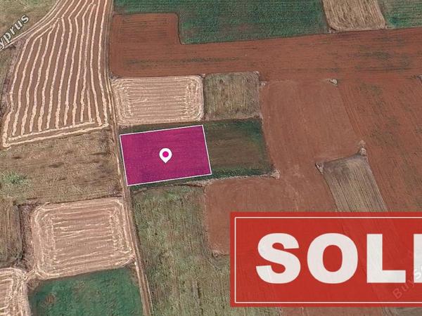 land sold agioi trimithias nicosia 1213168 image 3553503