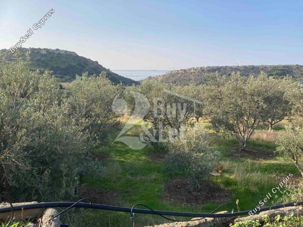 plot off market agios tychonas limassol 1460168 image 12577671