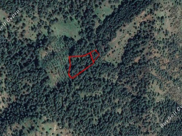 land for sale pigenia nicosia 830268 image 6571197