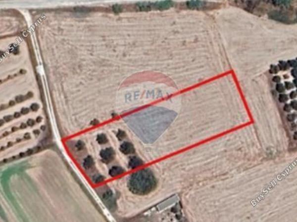 land for sale chrysopolitissa larnaca 8626368 image 15882941