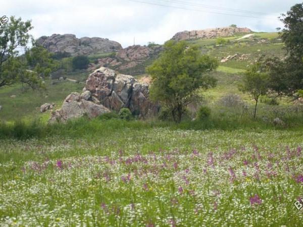 land for sale ineia paphos 7737368 image 10189059