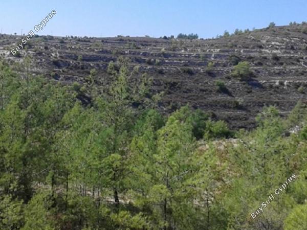 land for sale lofou limassol 823368 image 15602551
