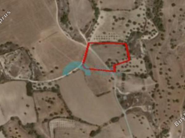land for sale mazotos larnaca 7526368 image 10005801