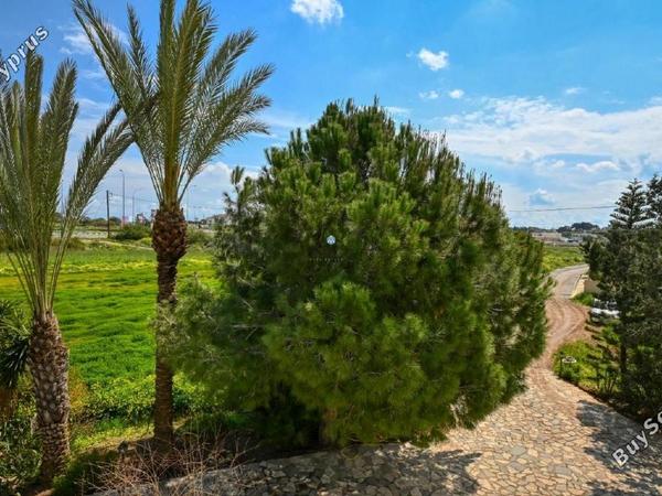 5 bedroom detached house for sale paralimni famagusta 1236468 image 5601030