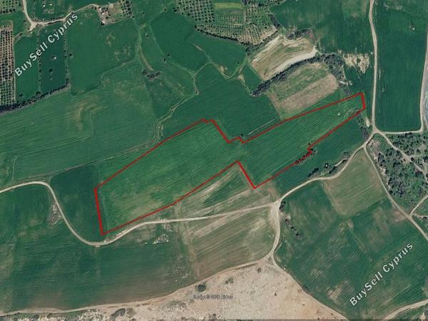 land for sale mazotos larnaca 8554468 image 15554114