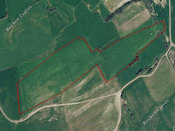 land for sale mazotos larnaca 8554468 image 15554116