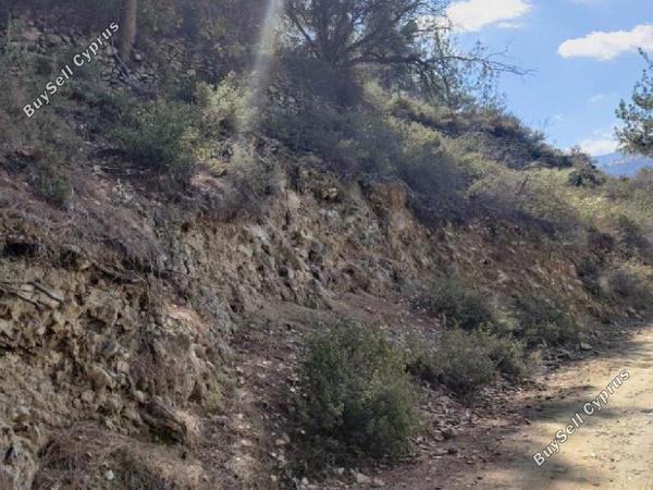 land for sale moutoullas nicosia 8106468 image 13239888