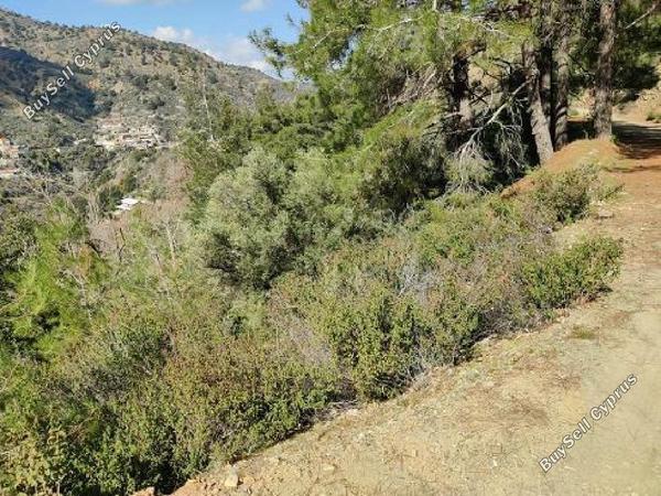 land for sale moutoullas nicosia 8106468 image 13239890