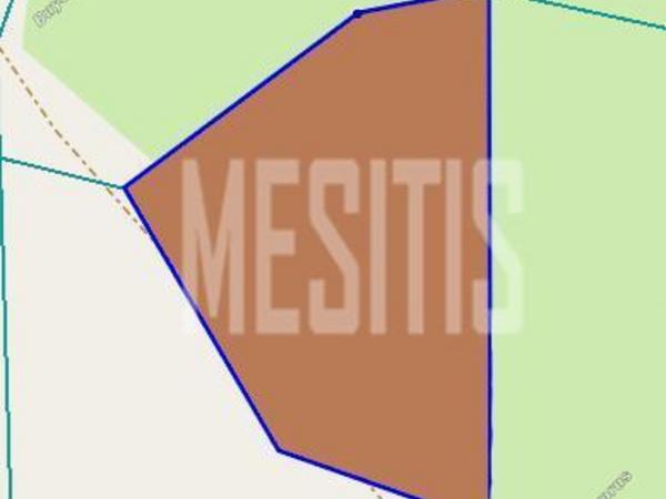 plot for sale mazotos larnaca 1838468 image 10540048
