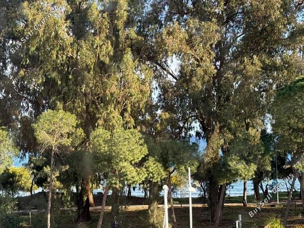 2 bedroom apartment for rent germasogeia limassol 8531568 image 15539730