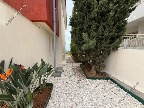 3 bedroom detached house for sale tala paphos 7927568 image 11253128
