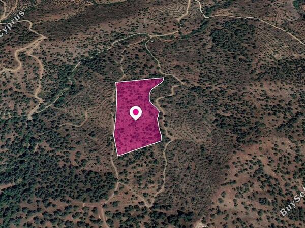 land for sale agios theodoros soleas nicosia 1057568 image 3742897