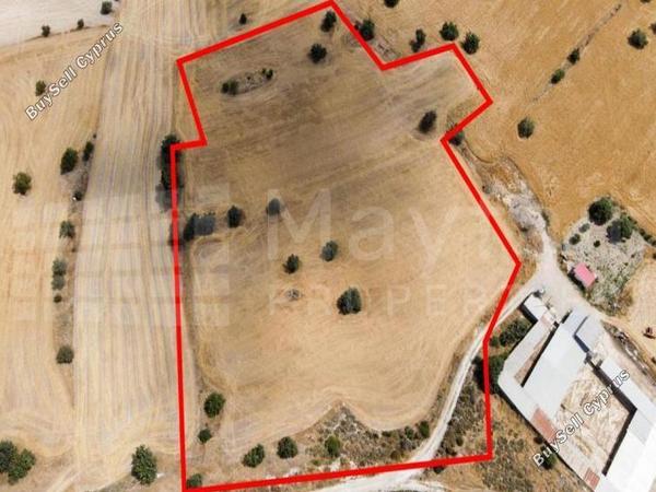 land for sale anglisides larnaca 7871568 image 14912287