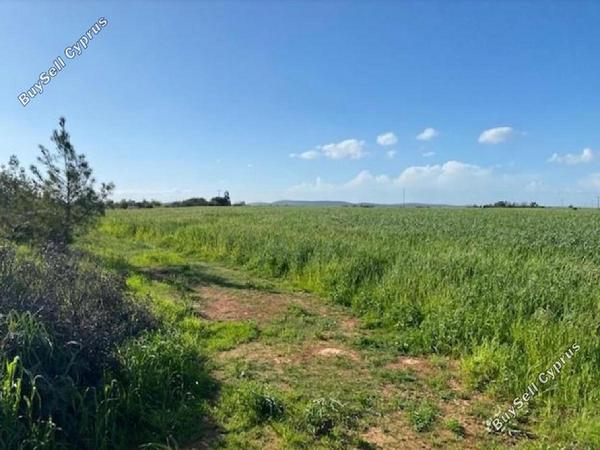 land for sale chrysopolitissa larnaca 8726568 image 16332284
