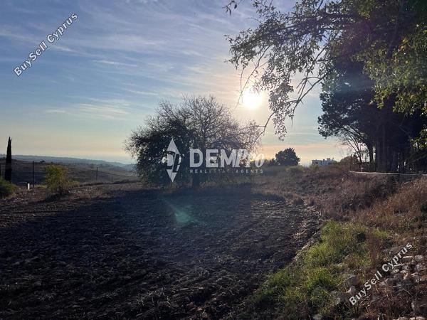 land for sale pano arodes paphos 7833568 image 12685349