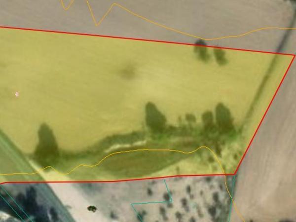 land for sale pyla larnaca 8203568 image 13685313