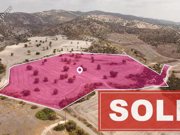 land sold kofinou larnaca 1182568 image 2415032